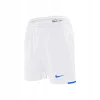 Remise 🥰 Training Homme Nike Nike Brasil Ii BLANC 🔔 en vente 7